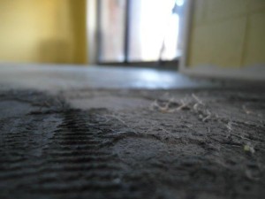 Concrete Polishing Phillip Island (3)