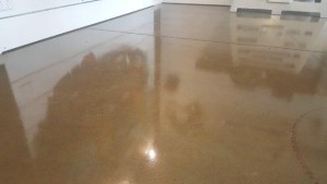 Eco Grind Latest Work Grind and Seal Kilsyth (5)