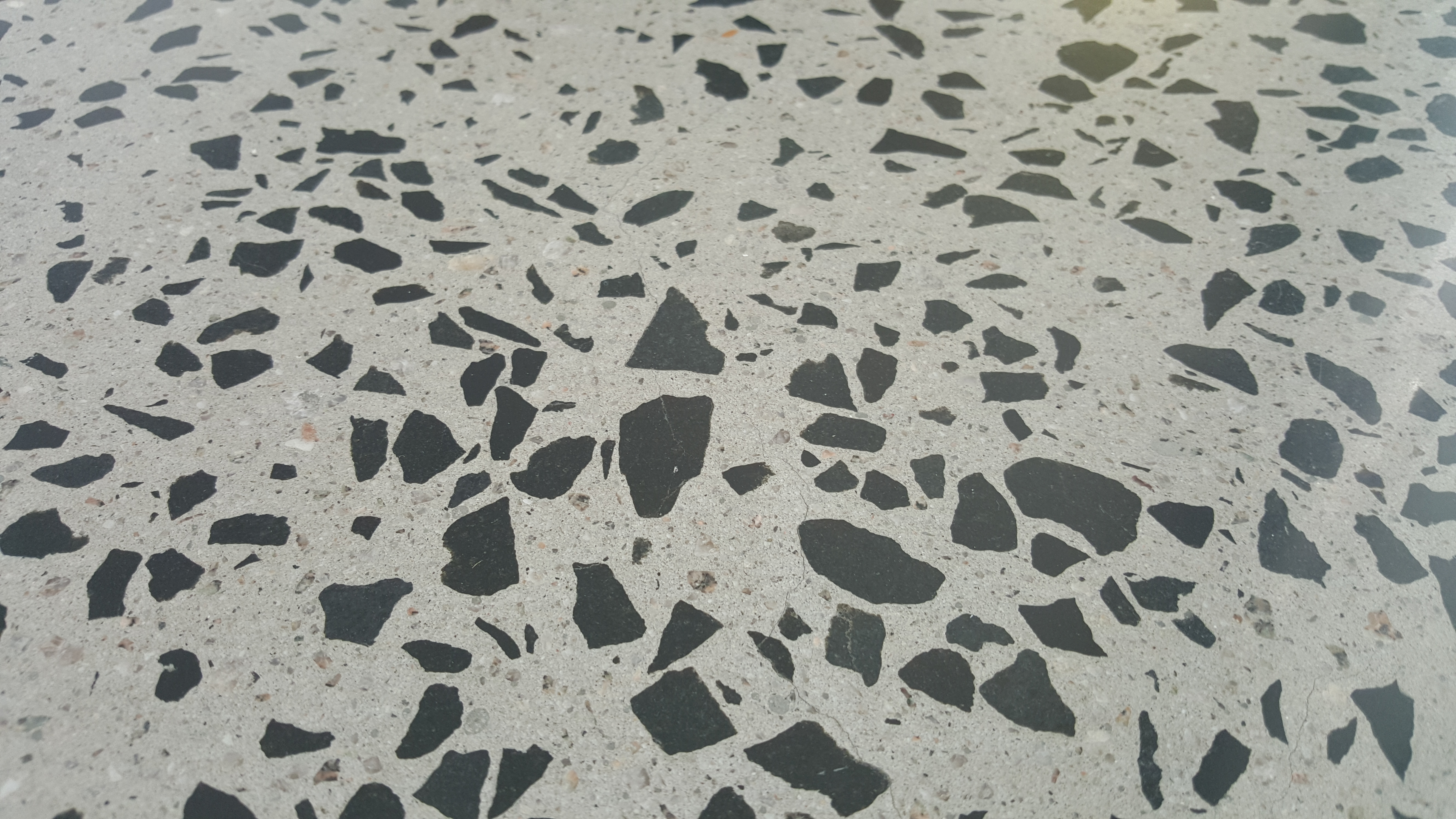 polished concrete features