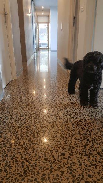 concrete polishing