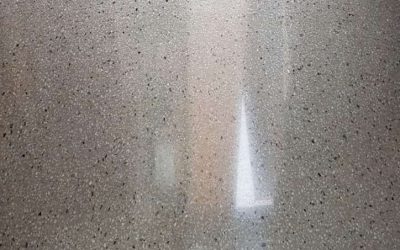 Hawthorn Full Exposure Concrete Polished Floors
