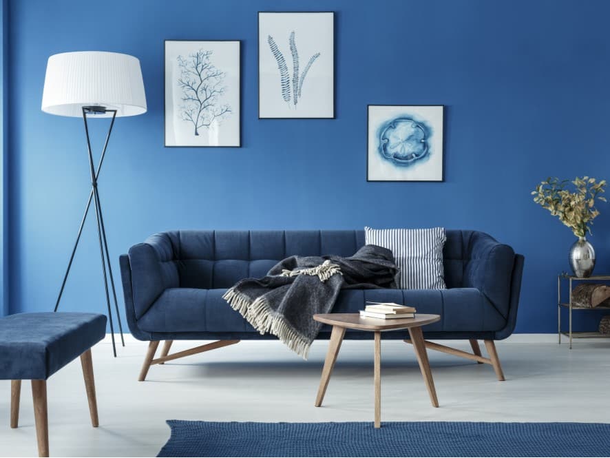 Blue Themed Lounge Rooms with Polished Concrete Floors – Reinvigorate ...