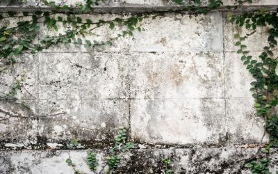 Can You Polish Existing Concrete?