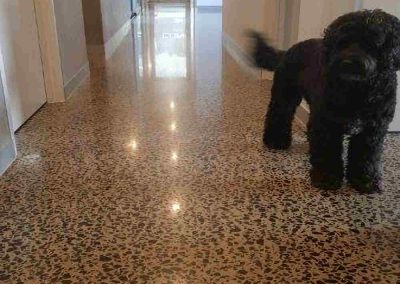 Concrete-Polishing-Melbourne-400x284 Epoxy polished concrete floors solvent