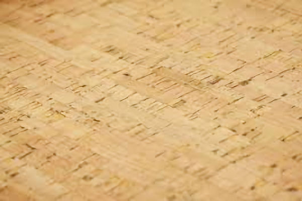 concrete VS cork