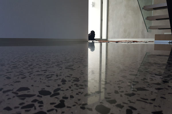 polished vs laminate polished vs laminate