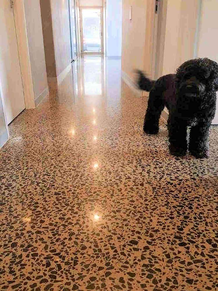 Australian Homes - picking the right flooring 4 picking the right flooring