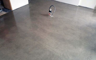 Latest Work – Random Exposure Finish Elwood